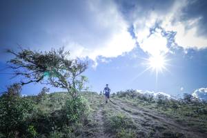 BIB: 5140
                            <button type="button" onclick="openModal(15955560)" class="btn btn-primary btn-sm float-right btn-popup" data-toggle="modal" data-target=".modal-high-quality">
                        <i class="fas fa-shopping-cart"></i> Add to Cart
                    </button>
                                            <button type="button" onclick="isThisMe(15955560, true)" class="btn btn-success btn-sm float-right btn-popup btn-isme hidden" data-toggle="tooltip" data-placement="bottom" title="นี่คือรูปของคุณใช่ไหม คลิกที่นี่เพื่อเอาเข้าอัลบั้ม">
                        <i class="fas fa-plus"></i> Add to album
                    </button>
                    <button type="button" onclick="isThisMe(15955560, false)" class="btn btn-warning btn-sm float-right btn-popup btn-isnotme hidden">
                        <i class="fas fa-ban"></i> Remove from album
                    </button>